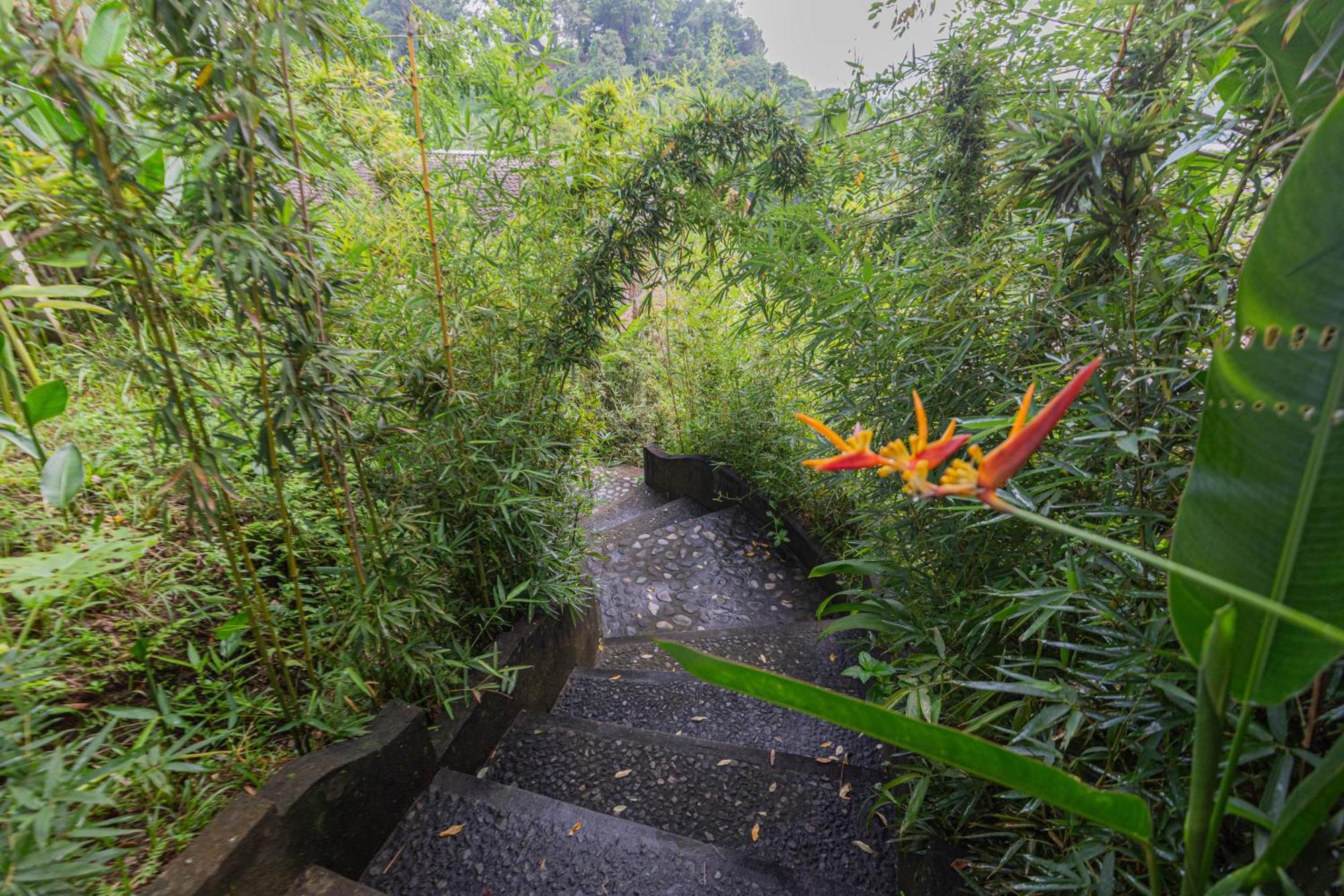 Shigar Livin Bali Sidemen (Bali) Exterior foto